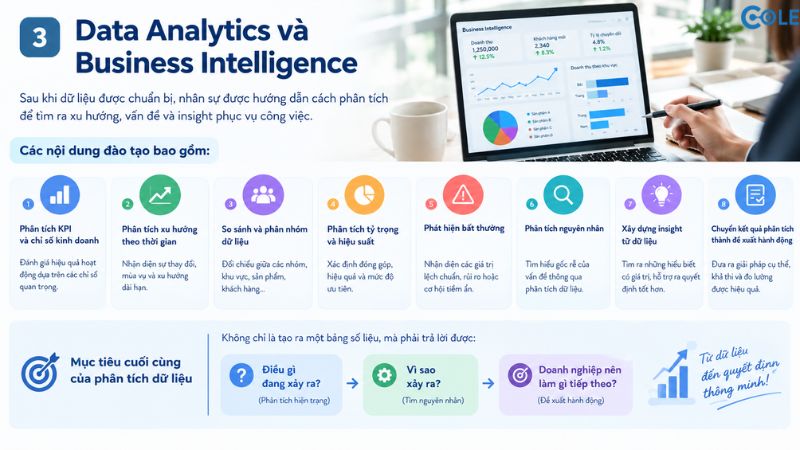 3. Data Analytics và Business Intelligence