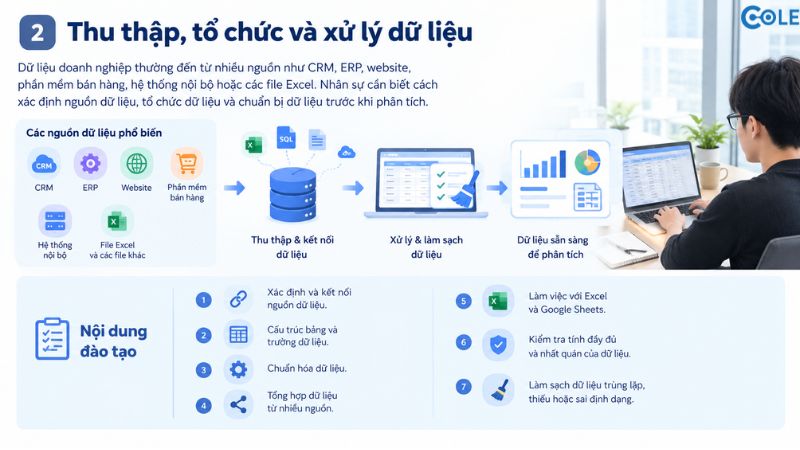 2. Thu thập, tổ chức và xử lý dữ liệu