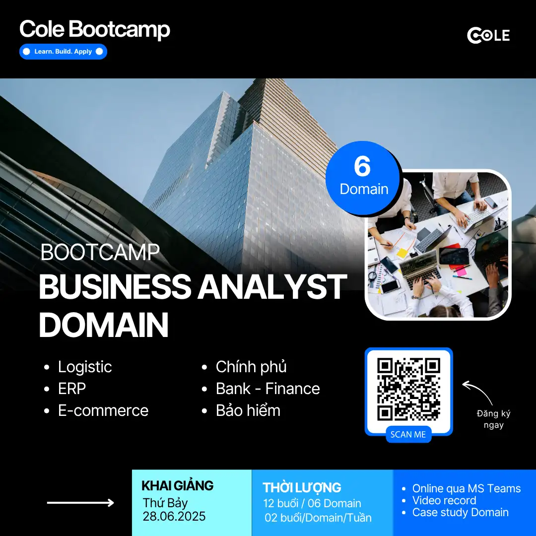 Bootcamp Business Analyst Domain