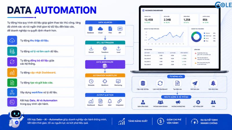 8. Data Automation
