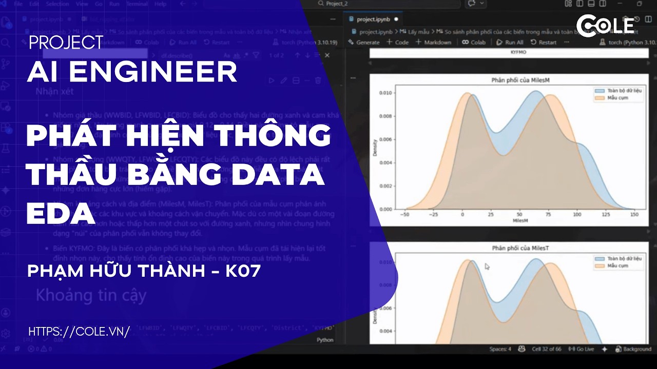 Hướng Dẫn Làm Project AI Engineer - Phát Hiện Thông Thầu Bằng EDA & Python