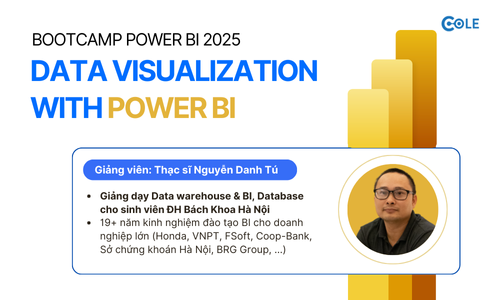 Bootcamp Data Visualization with Power BI - Cole